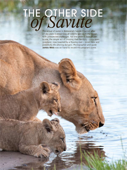 James' article on the water in the Savute channel in Africa Geographic magazine