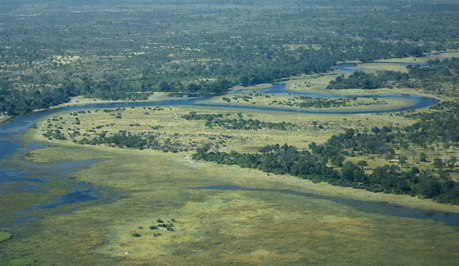 Zibadianja Lagoon (far left) and water flowing down the Savuti Channel